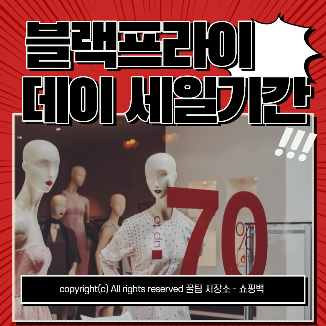 블랙프라이데이 세일기간 직구 꿀팁정보 블랙프라이데이 세일기간 직구 꿀팁정보