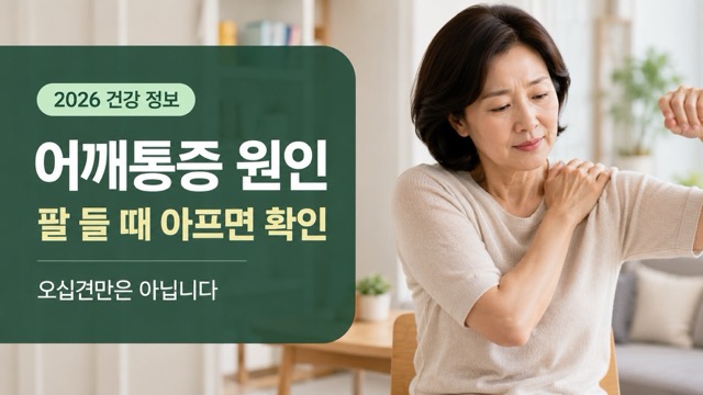 어깨통증 원인 팔 들 때 아픈 증상과 주요 질환 안내 썸네일