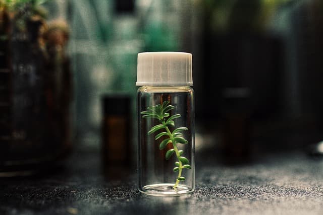 분자 생물학의 발전과 의약 연구의 미래