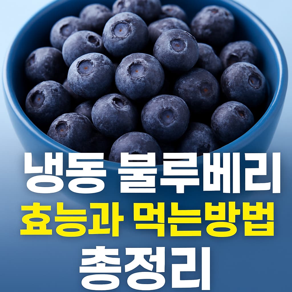 냉동 블루베리 효능 먹는방법