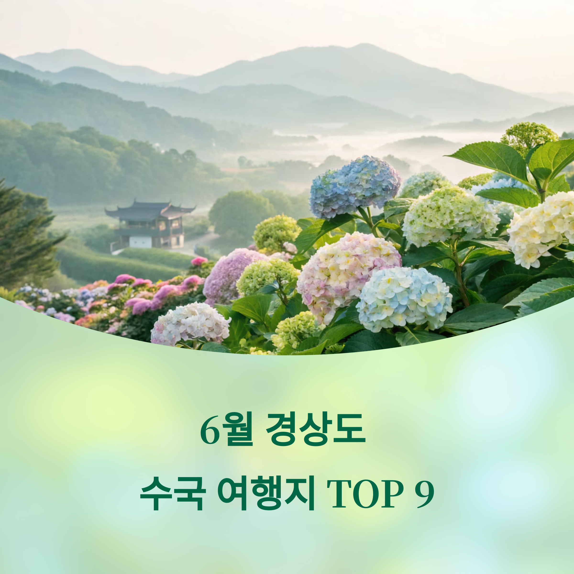 6월 경상도 수국 여행지 TOP 9