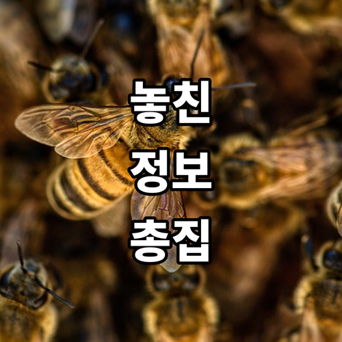 2025 승강기 안전 교육 한국승강기..