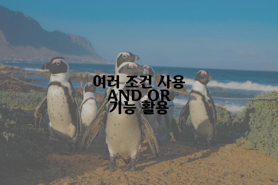 여러 조건 사용 AND OR 기능 활용