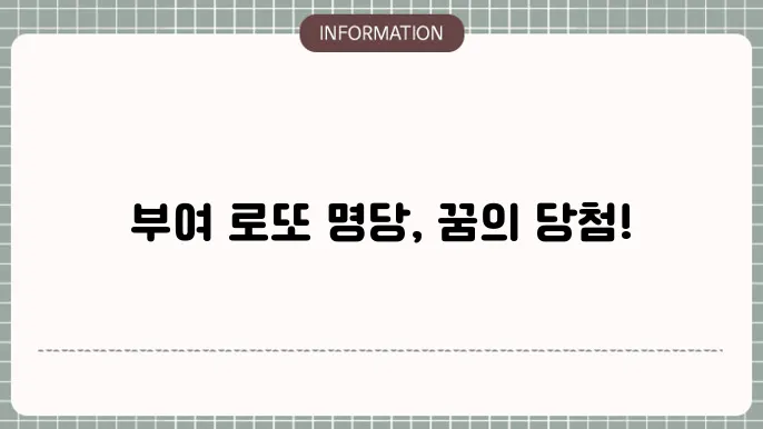 부여 로또 명당: 1등 터진 곳