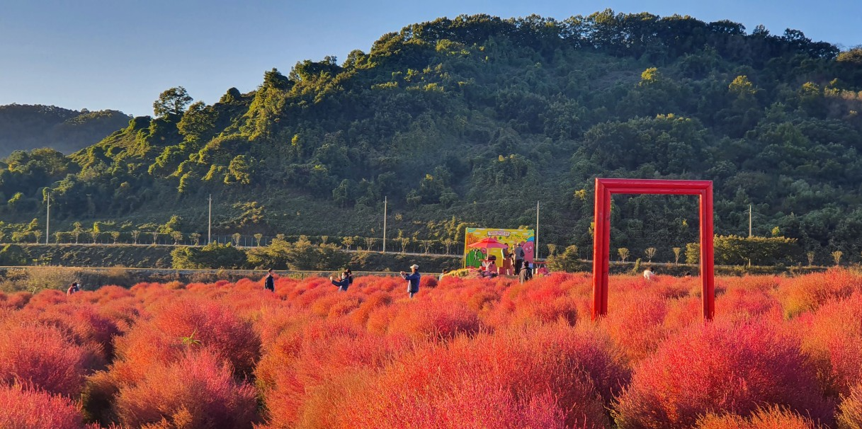 임진강 댑싸리공원