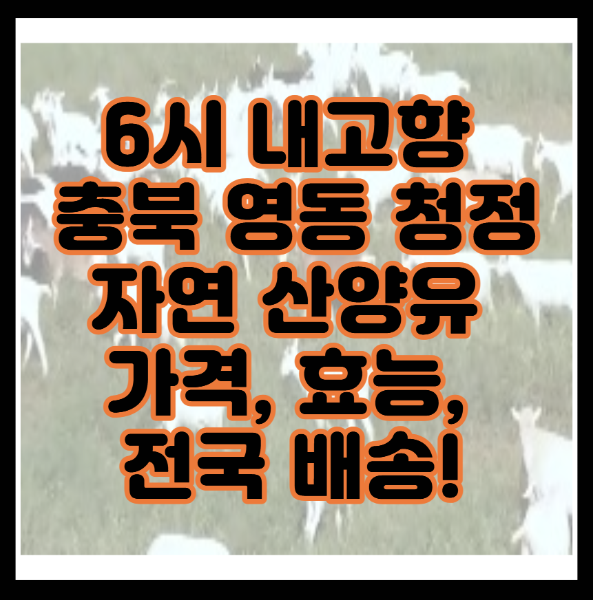 6시 내고향 충북 영동 청정 자연에서 자란 산양유 가격, 효능, 전국 배송 총정리