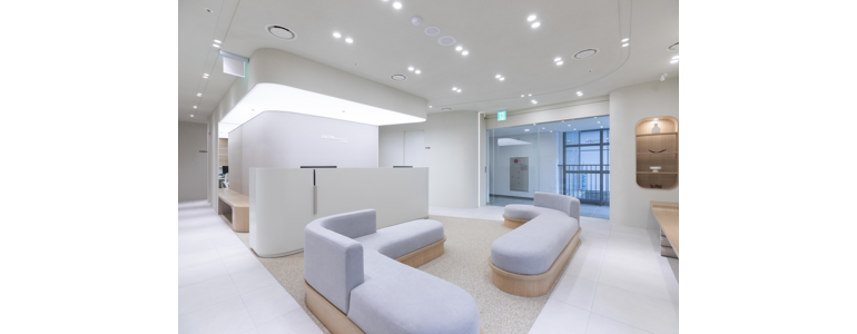 서울 은평구 고지혈증