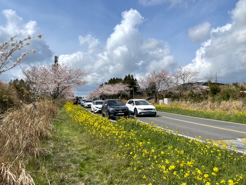 가시리 풍력발전단지 초입