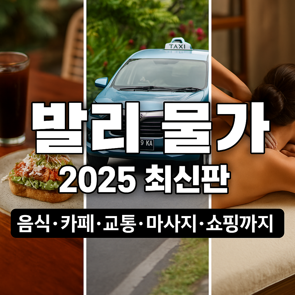 발리 물가 2025