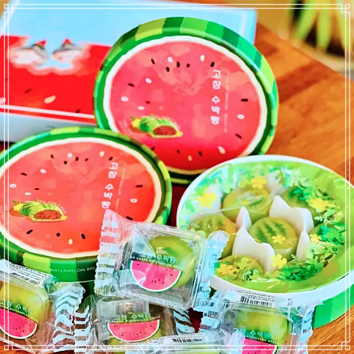 전북 고창 맛집 베이커리 디저트 새싹보리 크로아상