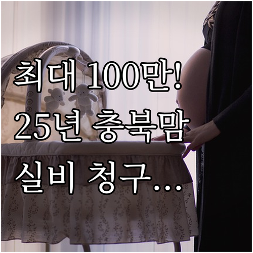 다태아 100만원 2025 충북 임산..