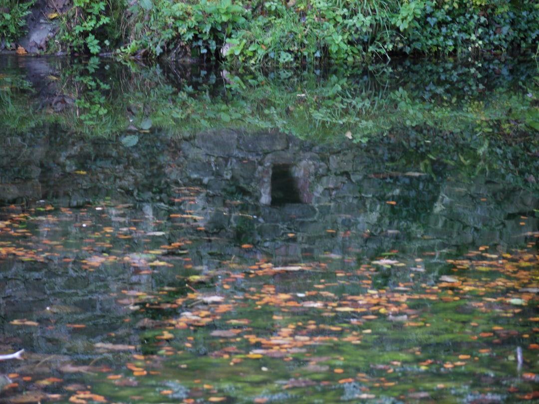 Sinkhole