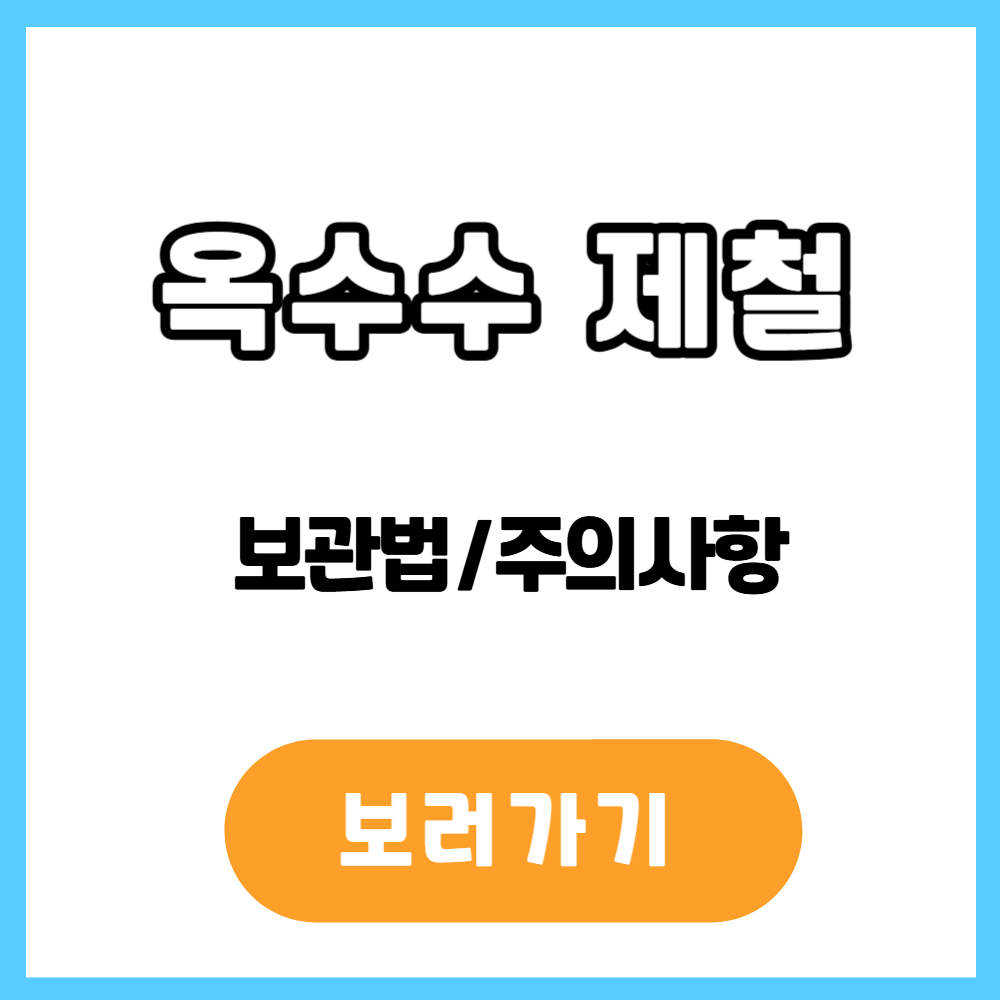 옥수수 제철 시기