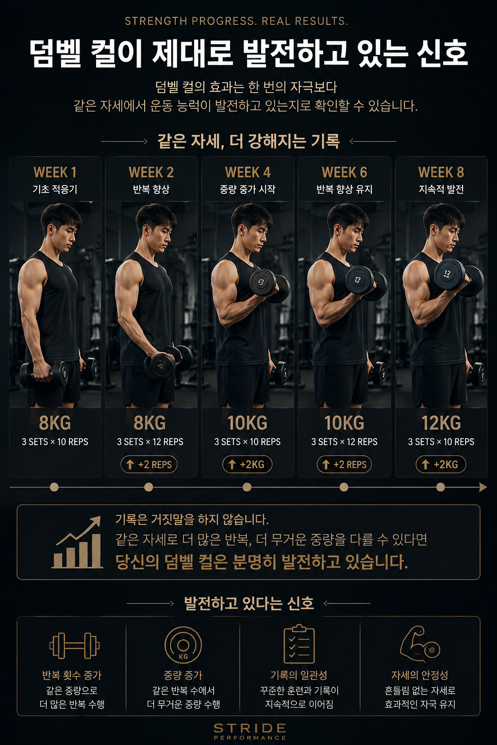 덤벨 컬이 제대로 발전하고 있는 신호