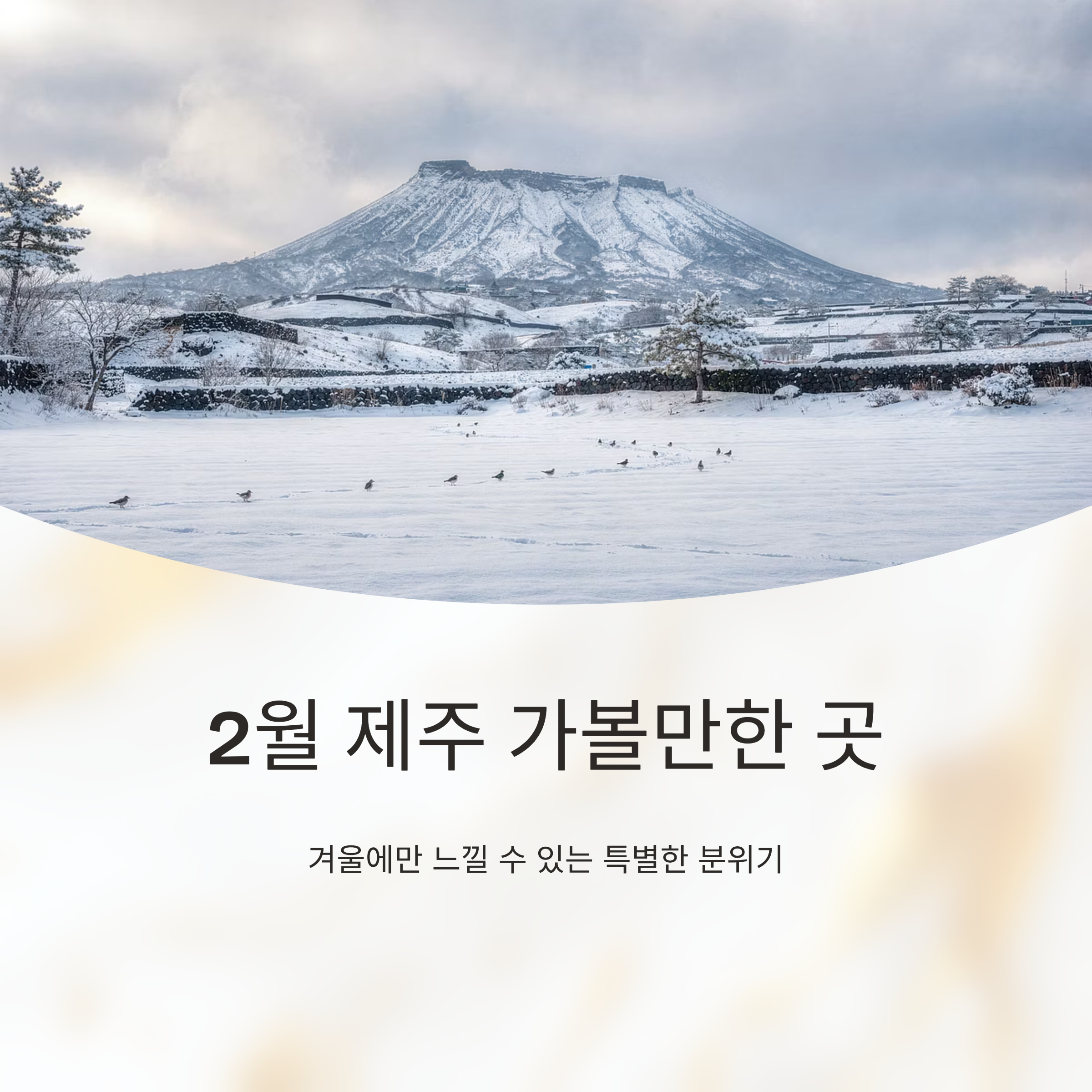 2월 제주 가볼만한 곳: 겨울에만 느낄 수 있는 분위기 모음