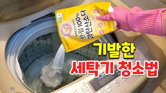 세탁기 청소 전문업체 비용 10만원 해결 후기 통돌이 세탁기 청소하는방법에 관해_8