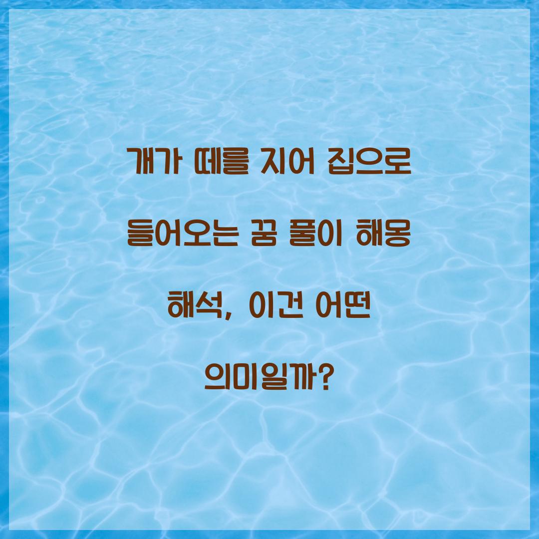 개가 떼를 지어 집으로 들어오는 꿈 풀이 해몽 해석