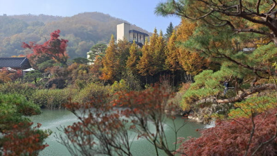 단풍명소_화담숲_연못