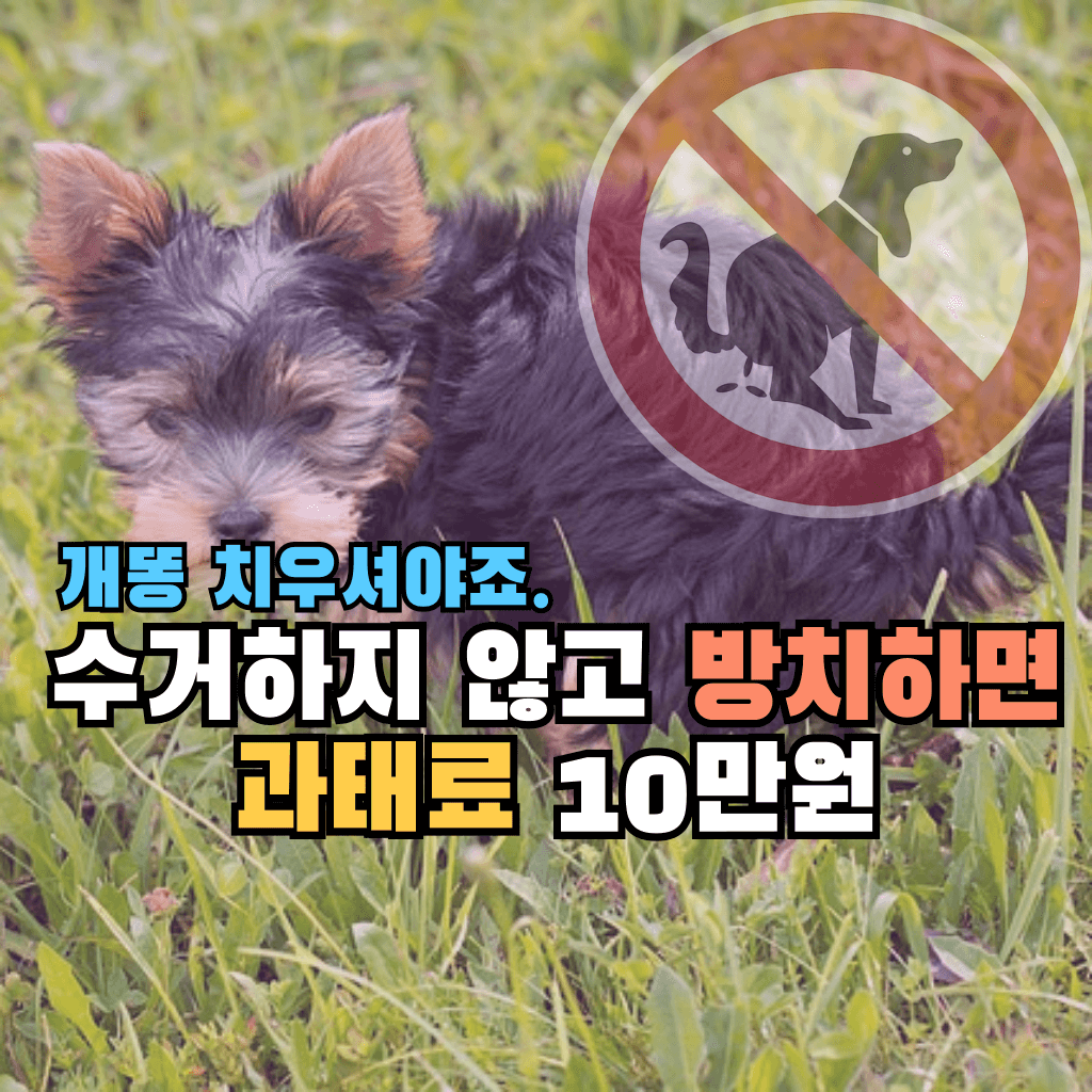 개똥 치우셔야죠. 수거하지 않고 방치하면 과태료 10만원