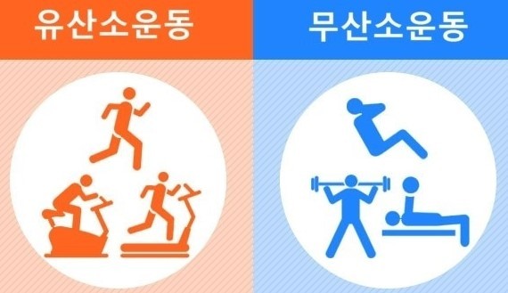 유산소 무산소 운동 병행
