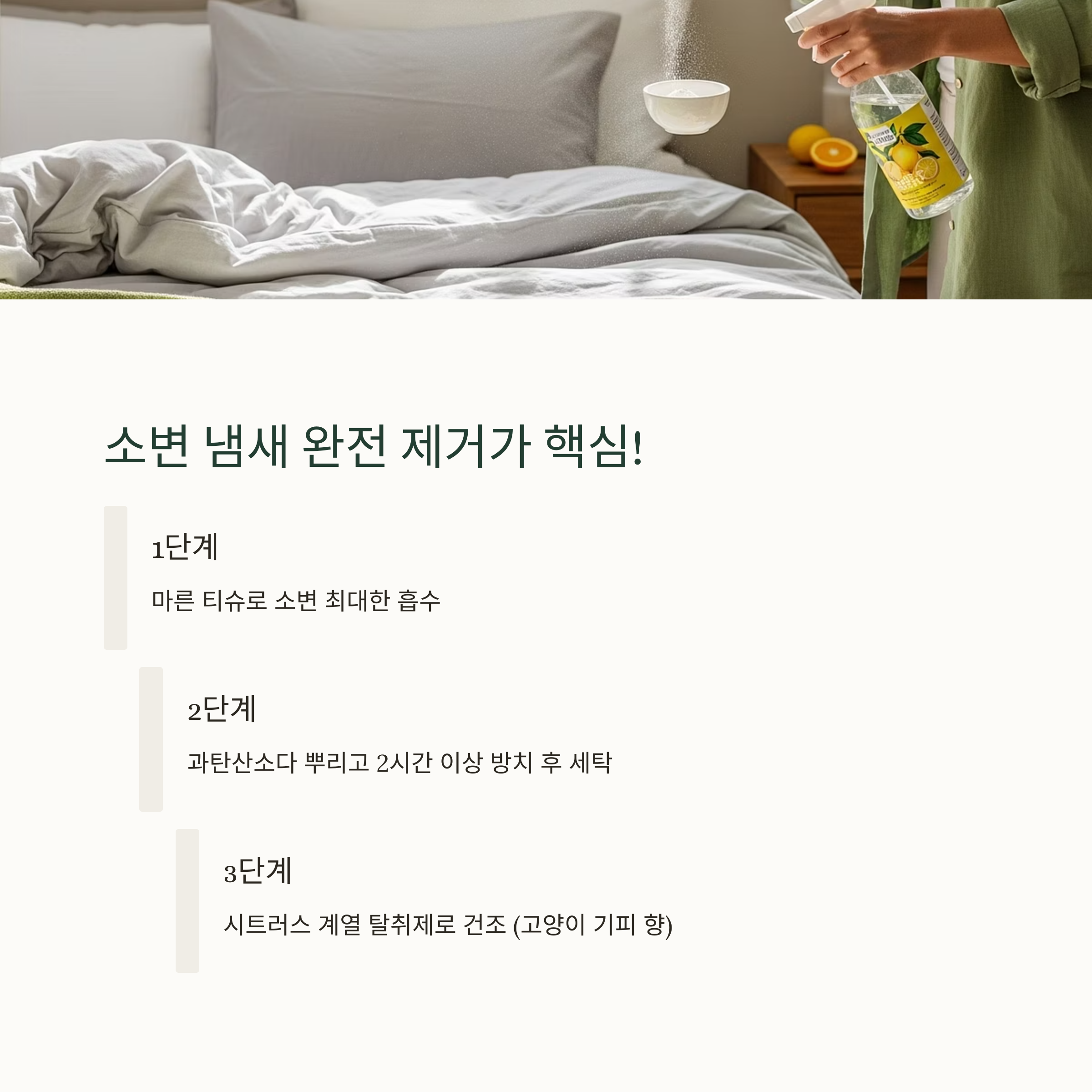 소변 냄새 완전 제거가 핵심!