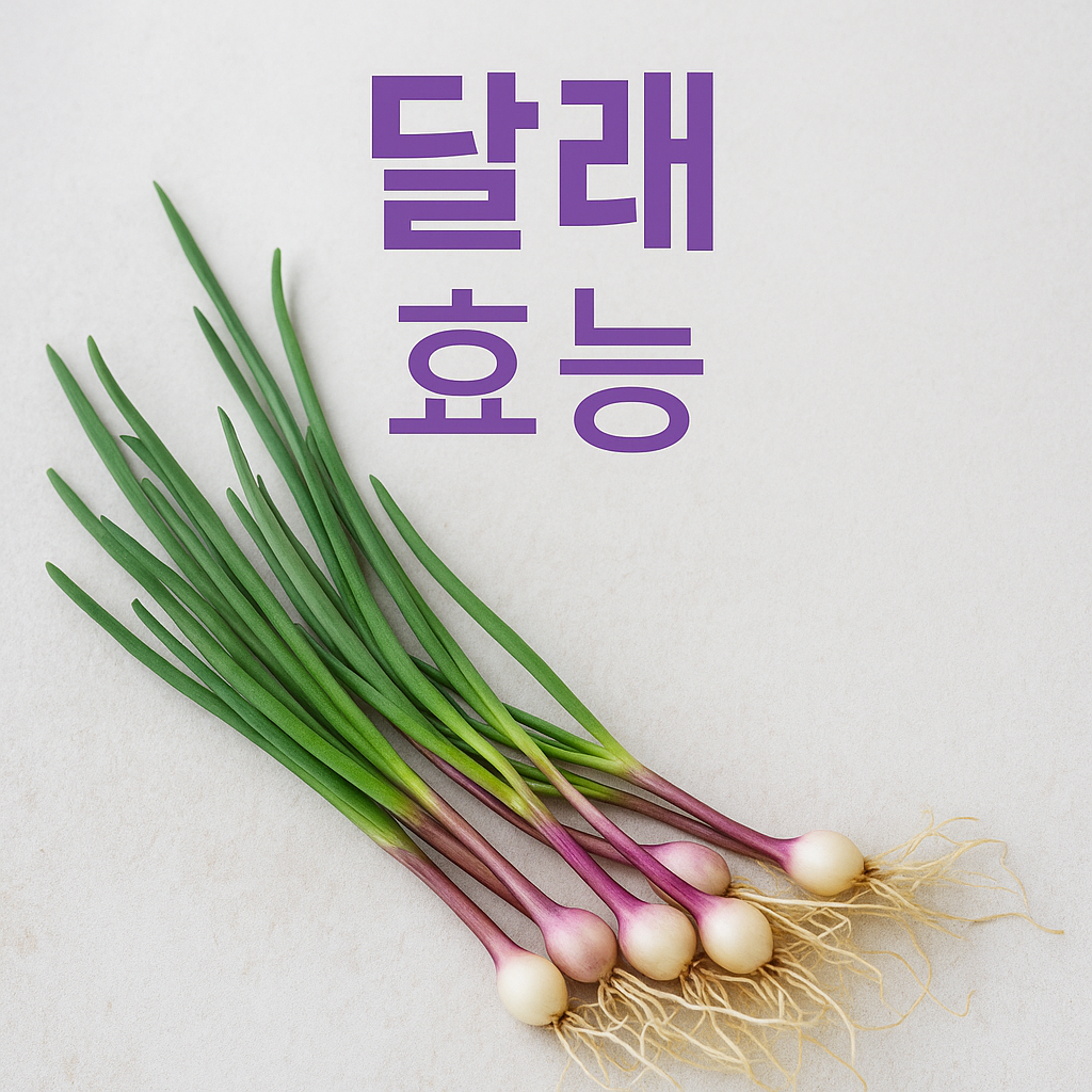 달래 효능