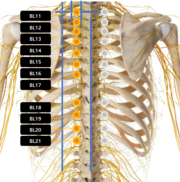 등 주변 혈자리 요약