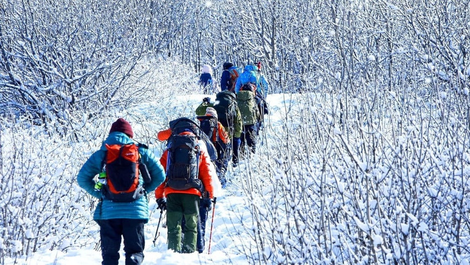 2월 말까지만! 점봉산 곰배령 겨울 등산