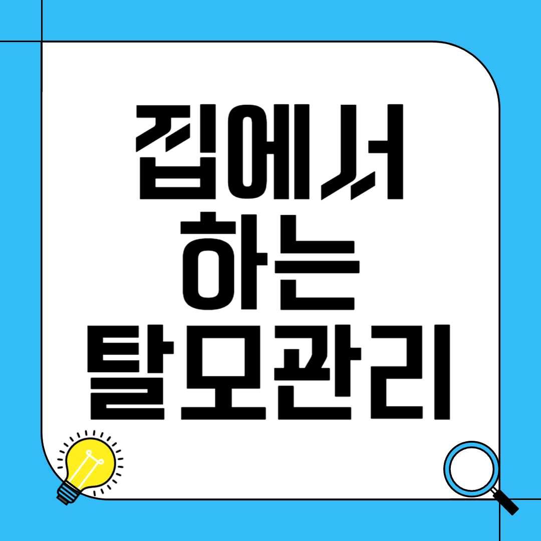 집에서 하는 탈모 관리