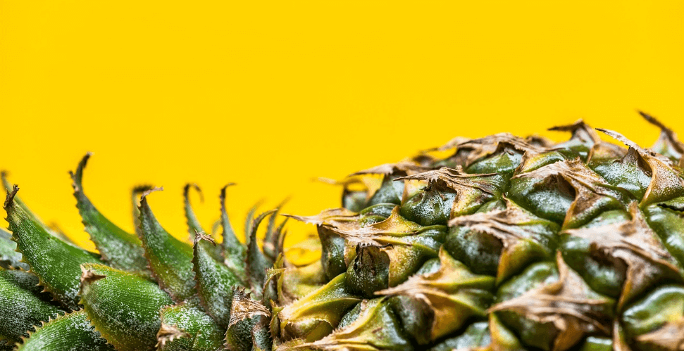 파인애플 사진 - 78