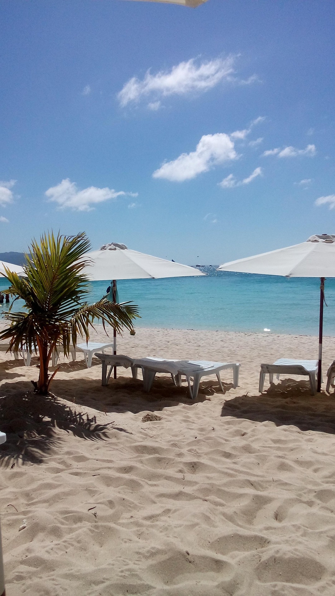 화이트비치 바다 자연 파라솔 의자