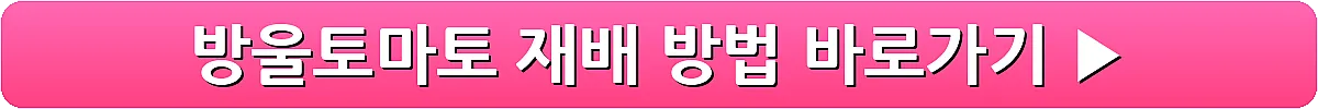 방울토마토 재배 방법_9