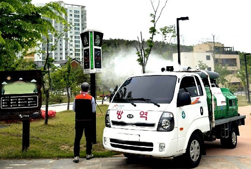 러브버그 생기는 이유와 퇴치 방법