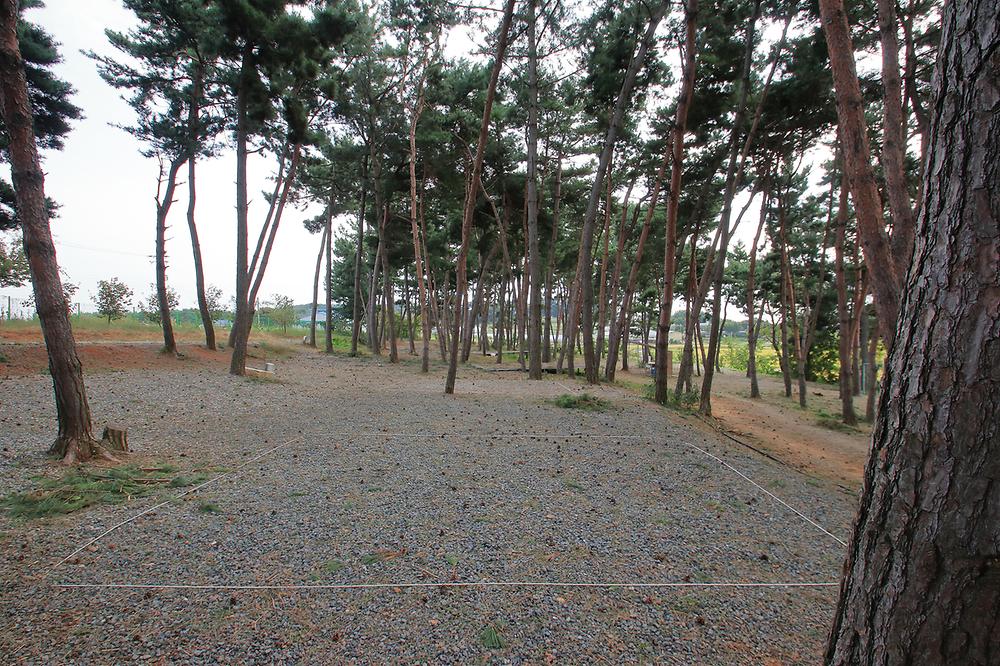 충남 서천 늘푸른캠핑장 소개