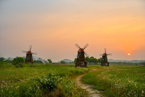 인천 소래습지생태공원 일출 사진