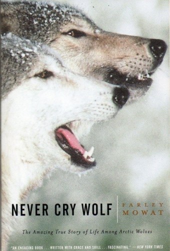 Never Cry Wolf 주제와 요소 몰입감을 높이는 배우 환경 그리고 결론