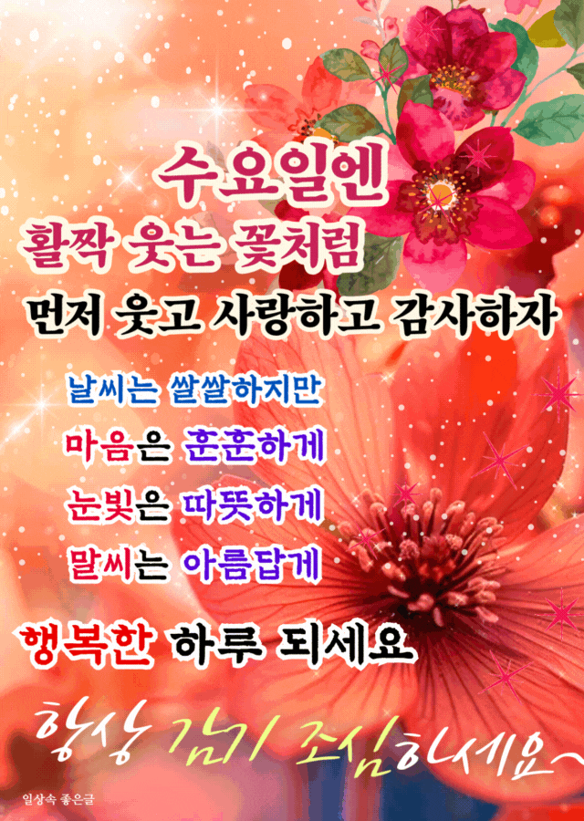 화사한 분홍 꽃 배경 위에 수요일 아침 인사 문구가 강조된 따뜻한 분위기의 이미지