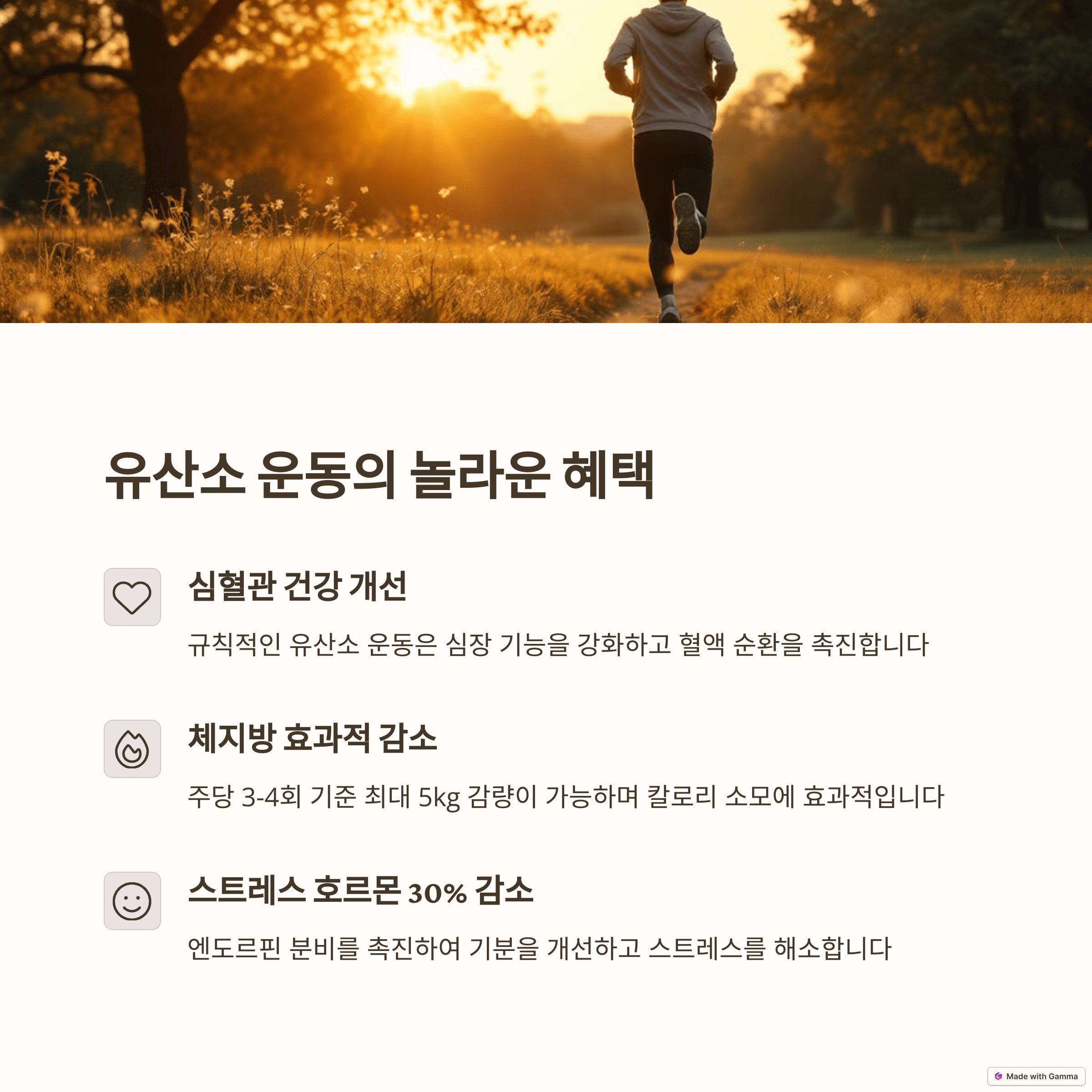 유산소 vs 근력 운동: 나에게 맞는 운동 선택 가이드