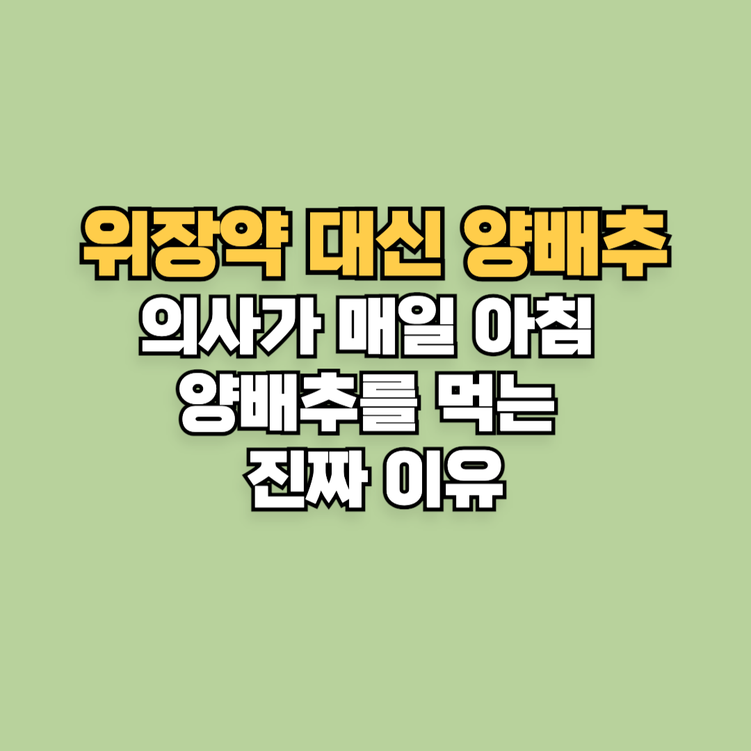 위장약 대신 양배추?" 의사가 매일 아침 양배추를 먹는 진짜 이유