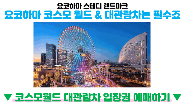 도쿄-근교-여행지-가마쿠라-에노시마-요코하마-하코네-이즈-닛코-카와고에-스이카-애플페이-일본-체크-카드-돈키호테-할인쿠폰
