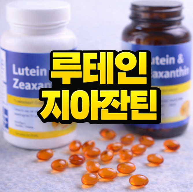 루테인 지아잔틴