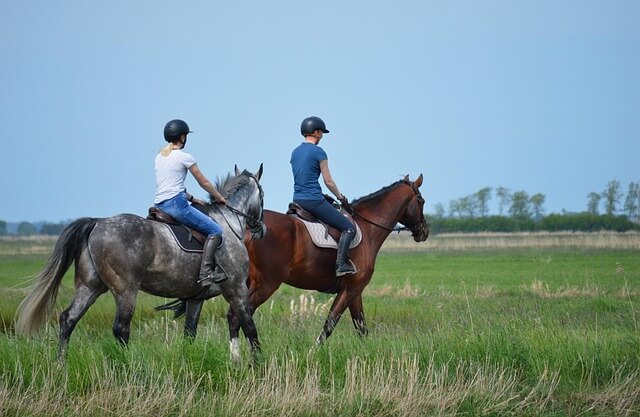 중년 블로그 빠르게 많이 보다 천천히 꾸준히가 더 중요하다