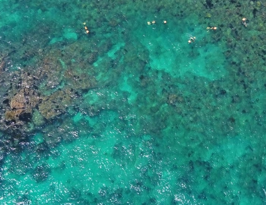 어업활동 중 발생하는 재해와 사고