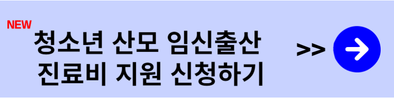 청소년 산모 임신출산 지원