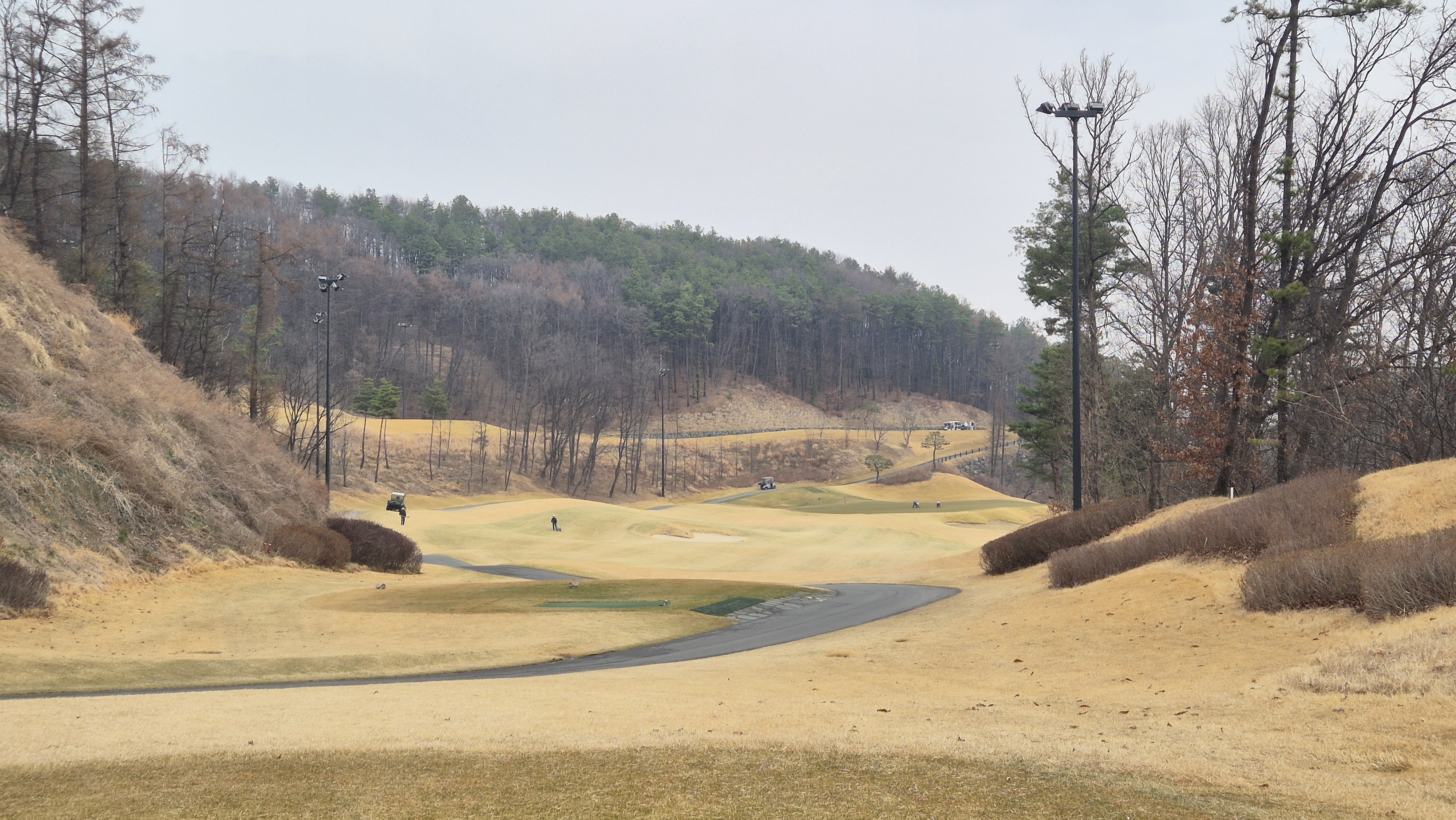 세현cc 코스 사진 및 공략 정보