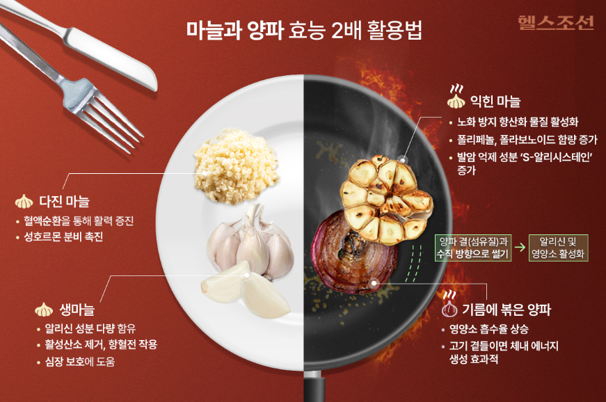 마늘 개요