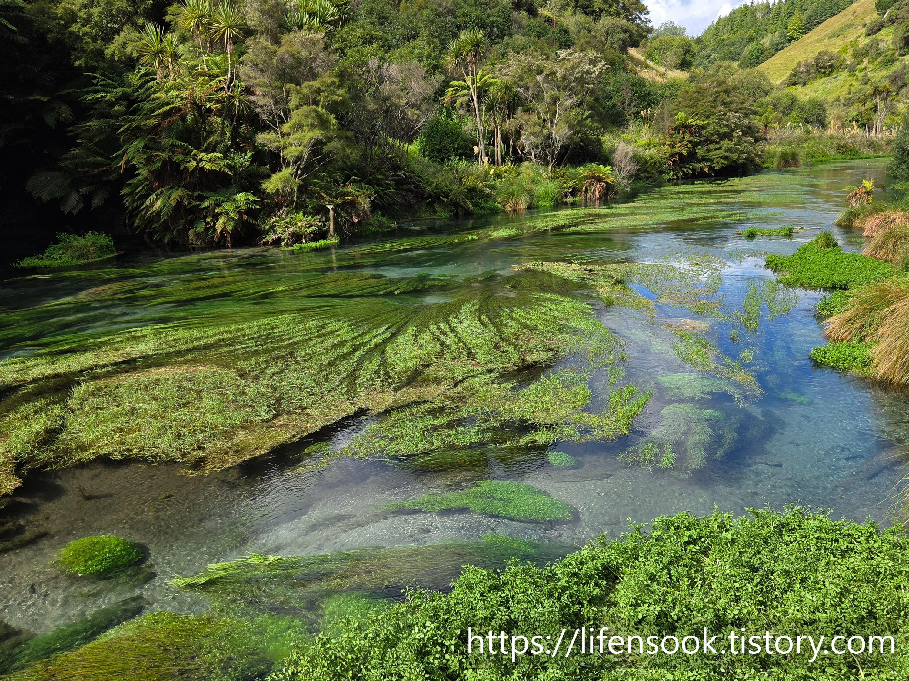 블루 스프링 워크웨이 9