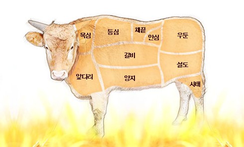 소고기 부위별명칭 용도 및 특징