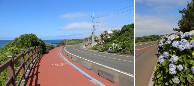 제주 종달리 수국길, 바다와 함께 만나는 여름의 보석길