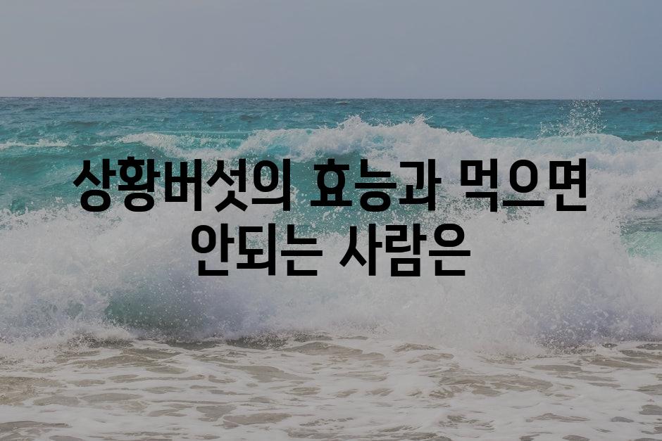 샘플 (89)